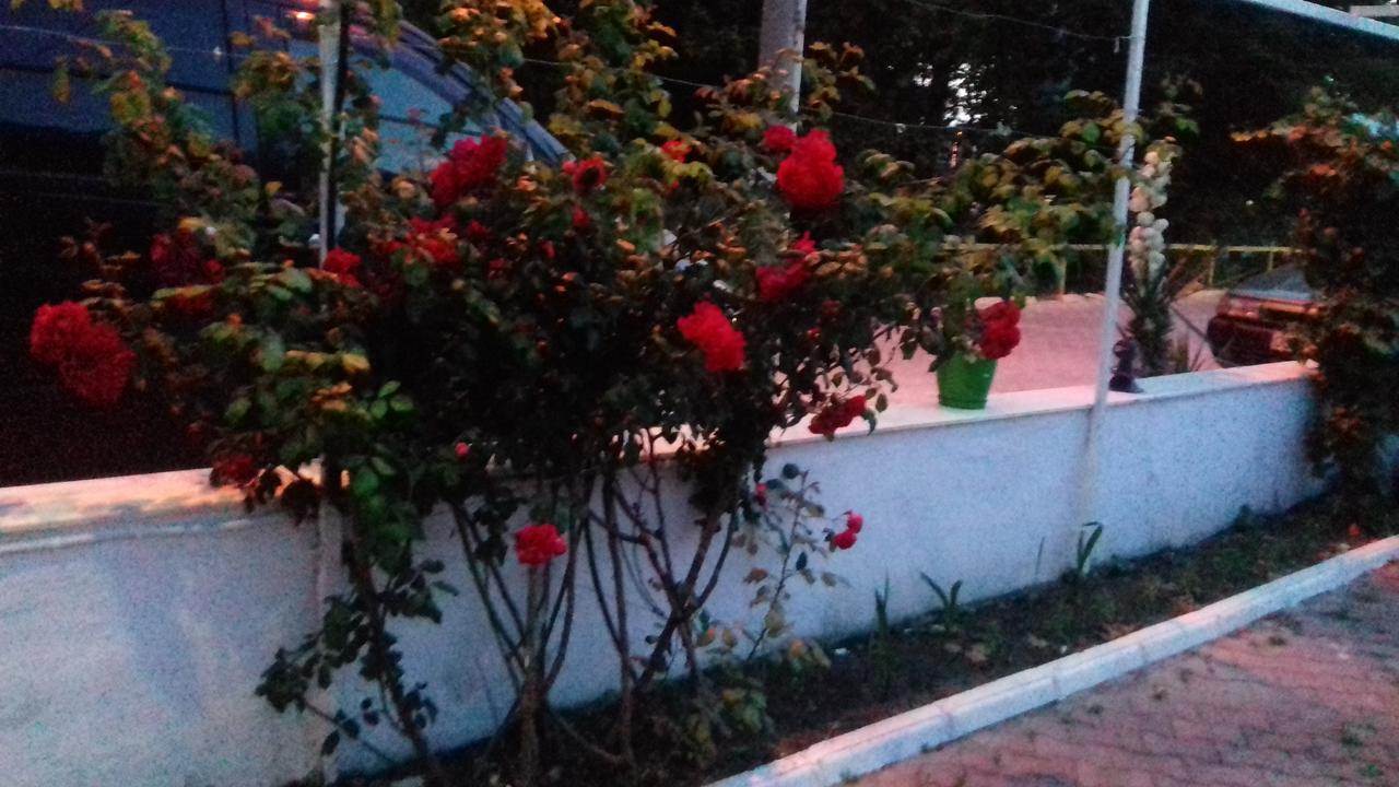 Samos Apart Pension Guzelcamlı Exterior foto